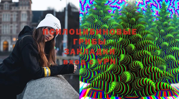 PSILOCYBIN Абдулино
