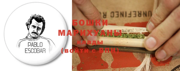 PSILOCYBIN Абдулино