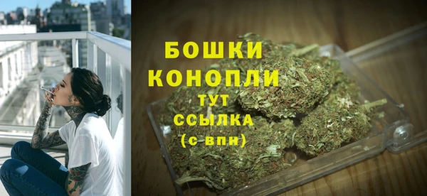 PSILOCYBIN Абдулино