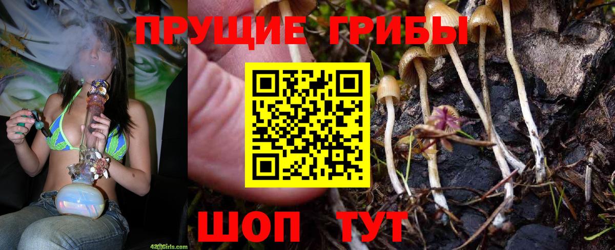 Псилоцибиновые грибы мицелий Кудымкар
