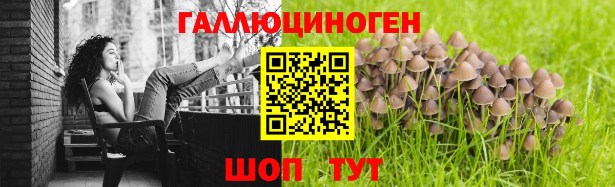 Галлюциногенные грибы Magic Shrooms  Вход с VPN  где можно купить наркотик  Кудымкар 