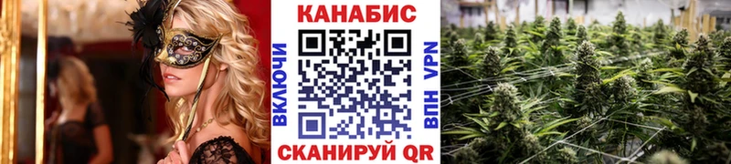 Бошки Шишки сатива  MEGA маркетплейс  Кудымкар 